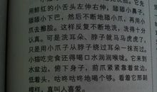 曾经，那只能是曾经_350字