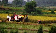 [PK赛]关于秋天的作文：丰收和秋天_650字