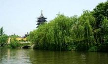 写景风景好段：春光充满着生气_700字