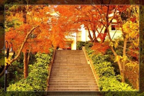 [PK Tour]关于秋季成分：秋季秋天，你是美丽的_700字