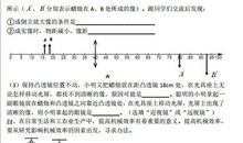 2019年山东淄博中考语文作文题目：以“你____的样子真美”为题