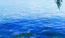 美丽的西湖_750字