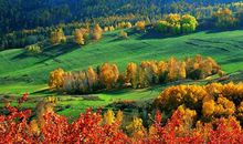 [PK赛]关于秋天的作文：寻秋_650字