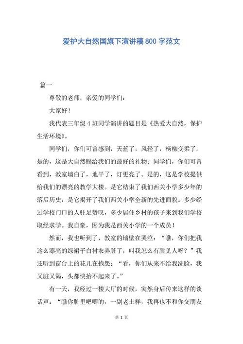 讲话下的国旗：学会成为一个人_800字