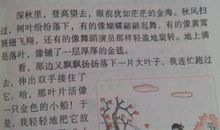 [PK赛]关于秋天的作文：秋天_500字