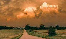 活出自己的精彩_450字