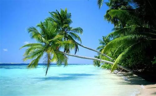 风景秀丽的海南岛_450字