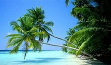 风景宜人海南岛_450字