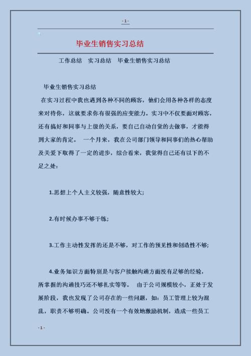 2018年销售毕业实习报告摘要粉丝Wen（3）