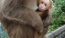 读《娥眉道上》有感_500字