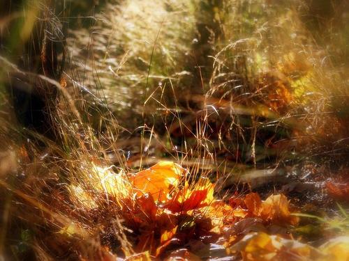 [PK Tour]秋季作文：瀑布也是奉献_800字