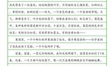 [PK赛]关于秋天的作文：又是一年的秋天_900字