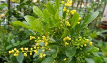 [PK赛]关于秋天的作文：秋意渐浓，年华斑斓_900字