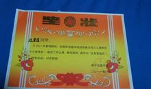 竞选图书管理员_550字