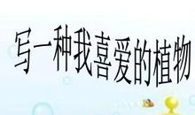 爱帮助人的小雨点_350字