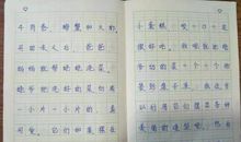 二年级叙事作文：小男孩和牛_350字