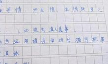 记事的初中_750字