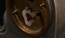 初三说明文：猫_900字