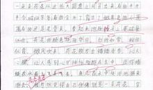 [PK赛]关于秋天的作文：秋天的林_800字