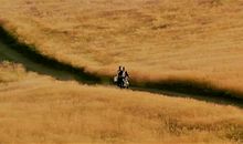 “我”随风即逝_800字