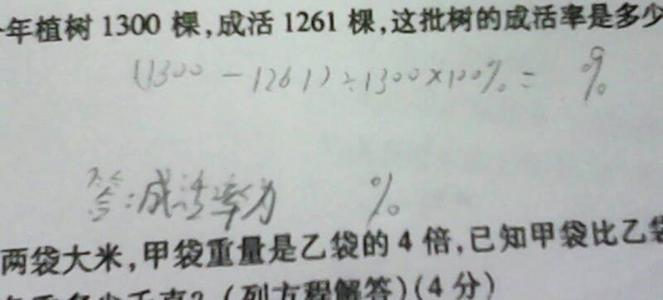 小学生学生感恩节组成1300字：刻在感恩的核心_1500字
