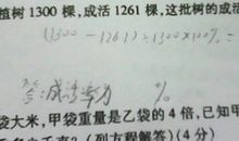 小学生感恩节作文1300字：刻在心底的感恩_1500字
