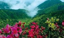 春天，最美的季节_650字