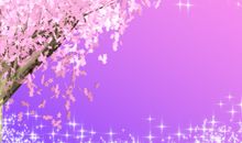 春天，梦幻般的季节_500字