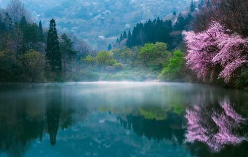美丽的春天：春天的风景_350字