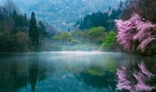 美丽的春天：春天的景物_350字