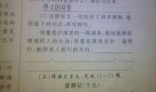 排比句：梦想的排比句_2000字
