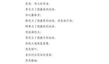 关于妈妈的作文：母亲颂_700字