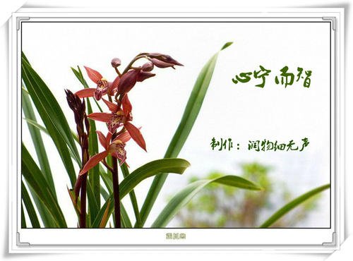 [感恩节录制]过去是粗糙的，而是将化学品分开。_1500字