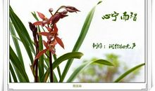 [感恩征文]昔年粗糙的亲切，化作如今的相隔_1500字