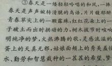 排比句：描写校园的排比句_900字