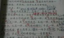 排比句：追求排比句_1200字