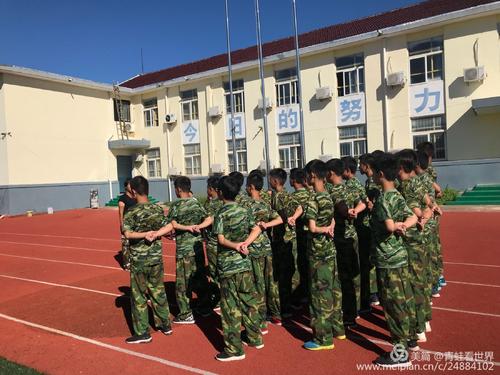 我的军事训练生活_550字