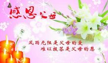 关于妈妈的作文：母爱是一种财富_400字