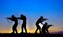 海燕的暴风雨——保卫我们神圣的岛屿坚决不退后一步_300字