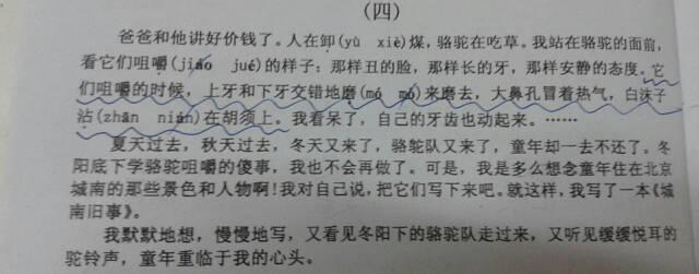 行比较：描述学校的朗布斯_700字