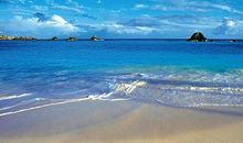 心中美丽的风景_100字