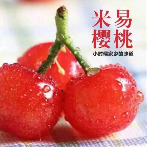 小樱桃_100字