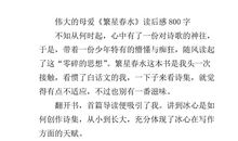 伟大的母亲_800字