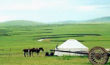 暑假游记——内蒙古之旅_250字