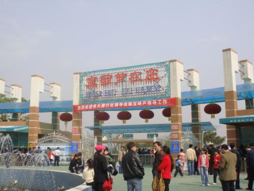 旅游宝Hulu _1000字