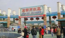 游宝葫芦_1000字