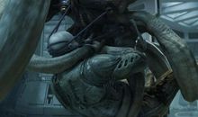 读《普罗米修斯》有感_350字