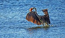 我最喜欢的一张照片_600字