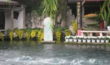 暑假游记——水花的幸福_200字