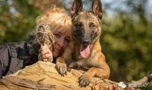 忠诚的伴侣——书籍_450字